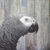 Bird Heads Ii By Karen Smith - 16x16 Art Print Poster view 1