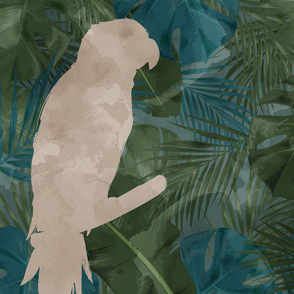ArtExpert Parrot Silhouette 1 By Kimberly Allen - 16x16 Art Print Poster
