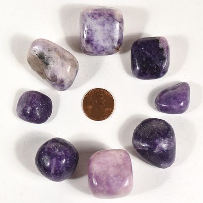30PCS Medium Purple Lilac Lepidolite Pebbles Polished Natural Sparkling Lithia Mica Flower Sugilite Gemstone Crystal Mineral Tumbled Stones Specimens - Brazil
