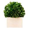 A&B Home Artificial Boxwood Topiary Tree with Pulp Pot view 2