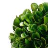 A&B Home Artificial Boxwood Topiary Tree with Pulp Pot view 3