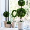 A&B Home Artificial Boxwood Topiary Tree with Pulp Pot view 4