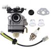 SHNILE 6690465 Carburetor for Tanaka TBC-2501 TBC-2501s TBC-250PF TBC-250PFD TBC-420PF TBC-430PF TBC-250SF TBC-260SF TBC-280PF TBC-260PF TBC-260PFL Grass Trimmer Brush Cutter view 1