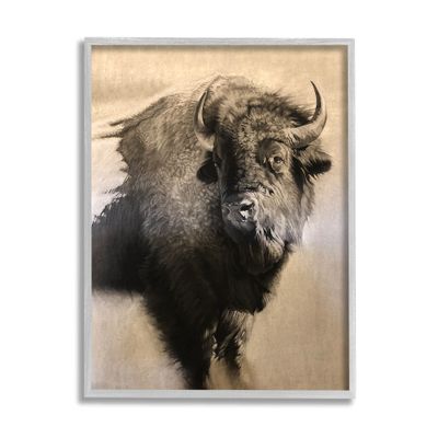 Stupell Industries Young Bull Vintage Portrait Realistic Rustic Drawing