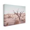 Stupell Industries Southwestern Desert Tree Landscape Soft Muted Brush view 1