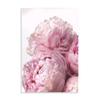Stupell Industries 'Blush Pink Peonies Florals Blooming Over White', Wall Plaque Art, 10 x 15 Inches, Easy to Hang and Sturdy, Made in USA, by Ziwei Li view 1