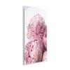 Stupell Industries 'Blush Pink Peonies Florals Blooming Over White', Wall Plaque Art, 10 x 15 Inches, Easy to Hang and Sturdy, Made in USA, by Ziwei Li view 2