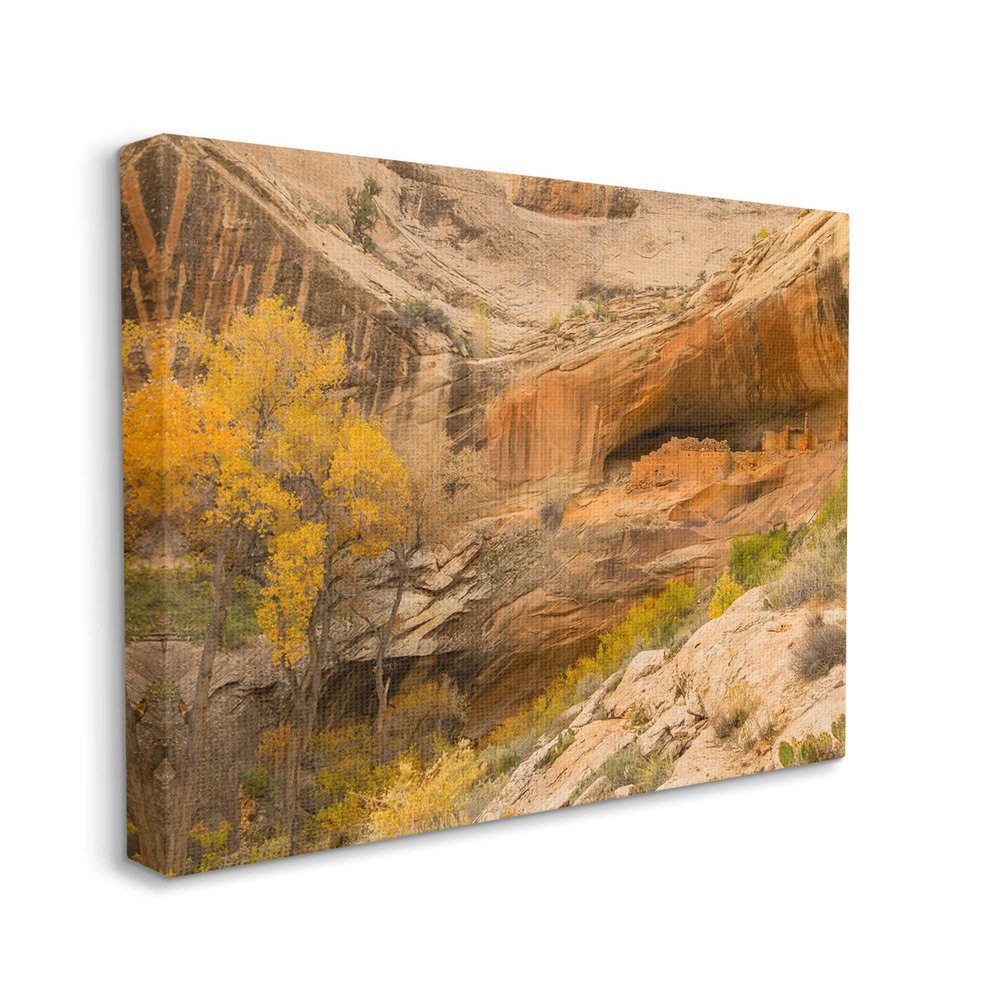 Stupell Industries Desert Foliage Landscape Southwestern Canyon Cliff