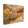 Stupell Industries Desert Foliage Landscape Southwestern Canyon Cliff view 1
