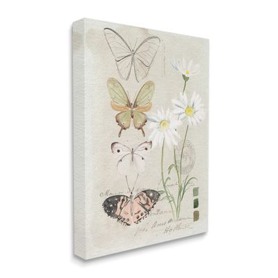 Stupell Industries Antique Daisy Field Study Earth Tone Color Scale