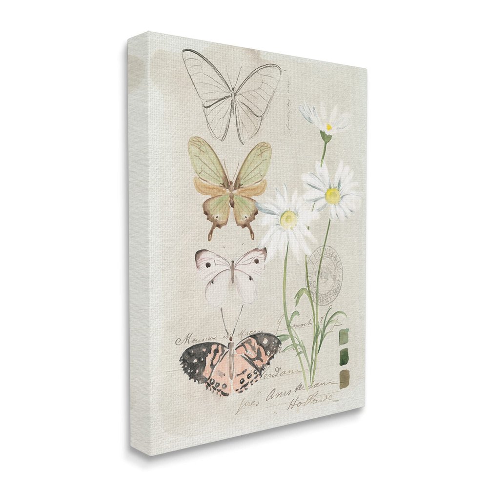 Stupell Industries Antique Daisy Field Study Earth Tone Color Scale