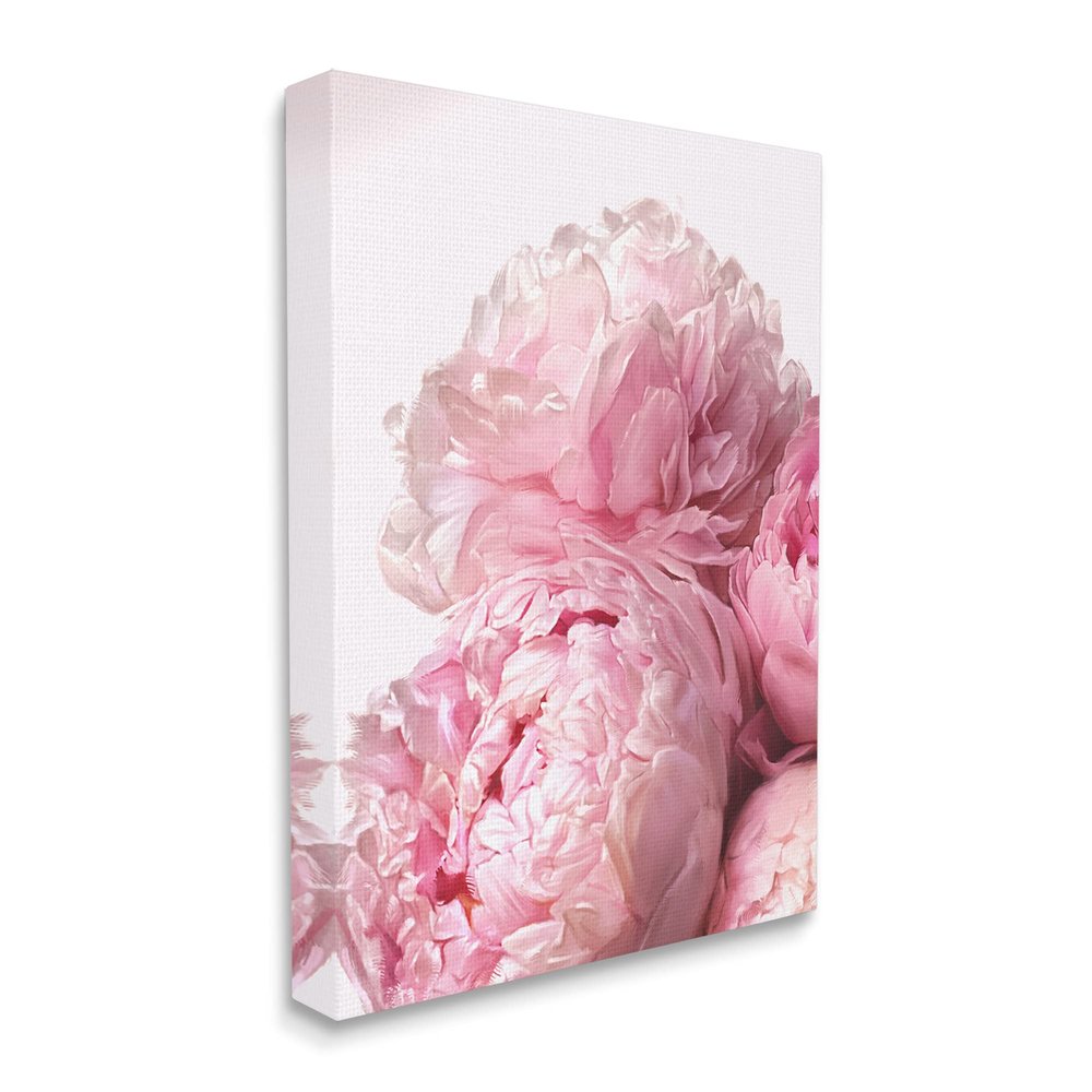 Blush Pink Peonies Florals Blooming Over White