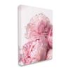 Blush Pink Peonies Florals Blooming Over White view 1