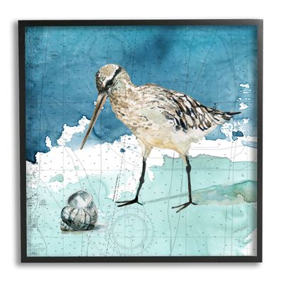 Stupell Industries Beach Bird Round Shell Blue Ocean Coastal Map