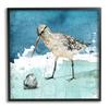 Stupell Industries Beach Bird Round Shell Blue Ocean Coastal Map view 1