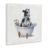 Stupell Industries Dairy Cow in Bathtub Country Farm Animal, Designed by Donna Brooks Canvas Wall Art, 30 x 30, Black view 3