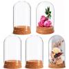 IMIKEYA 5Pcs The Bell Jar Glass Cloche with Rustic Wood Base, Tall Clear Decorative Cloche Glass Dome Display Case for Plants, Curios, Keepsakes, Heirlooms view 1