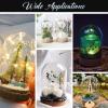 IMIKEYA 5Pcs The Bell Jar Glass Cloche with Rustic Wood Base, Tall Clear Decorative Cloche Glass Dome Display Case for Plants, Curios, Keepsakes, Heirlooms view 2