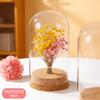 IMIKEYA 5Pcs The Bell Jar Glass Cloche with Rustic Wood Base, Tall Clear Decorative Cloche Glass Dome Display Case for Plants, Curios, Keepsakes, Heirlooms view 3