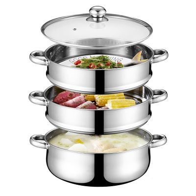 4-Tier Stainless Steel Steamer, Steam Cookware Pot/Saucepan with Handles And Vented Glass Lid for Cooking Food