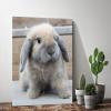 PYFXSALA Animal Rabbit Lop 1 Canvas Poster Wall Art Decor Print Picture Paintings for Living Room Bedroom Decoration 812inchs(2030cm) view 2