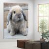 PYFXSALA Animal Rabbit Lop 1 Canvas Poster Wall Art Decor Print Picture Paintings for Living Room Bedroom Decoration 812inchs(2030cm) view 4