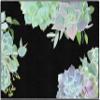 Flagship Carpets Simply Stylish Succulents Classroom Area Rug for Indoor Classroom Learning or Kid Bedroom Educational Play Mat, 5'x7'6", Multicolor view 1