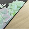 Flagship Carpets Simply Stylish Succulents Classroom Area Rug for Indoor Classroom Learning or Kid Bedroom Educational Play Mat, 5'x7'6", Multicolor view 4