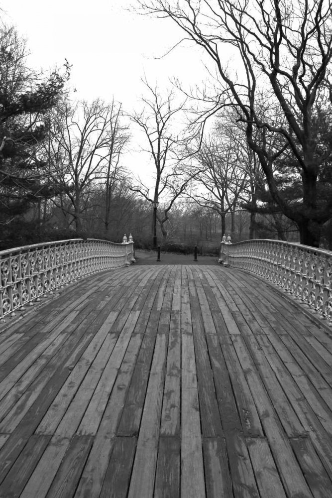 ArtExpert Central Park Bridge 4 by Jace Grey - 16x24 Art Print Poster
