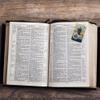Needzo Our Lady of Queen Palestine Holy Prayer Card with Medal and Prayers on The Back, Catholic Saints Pocket Prayer Bookmarks and Bible Page Holders, 3 3/8, Pack of 3 view 4