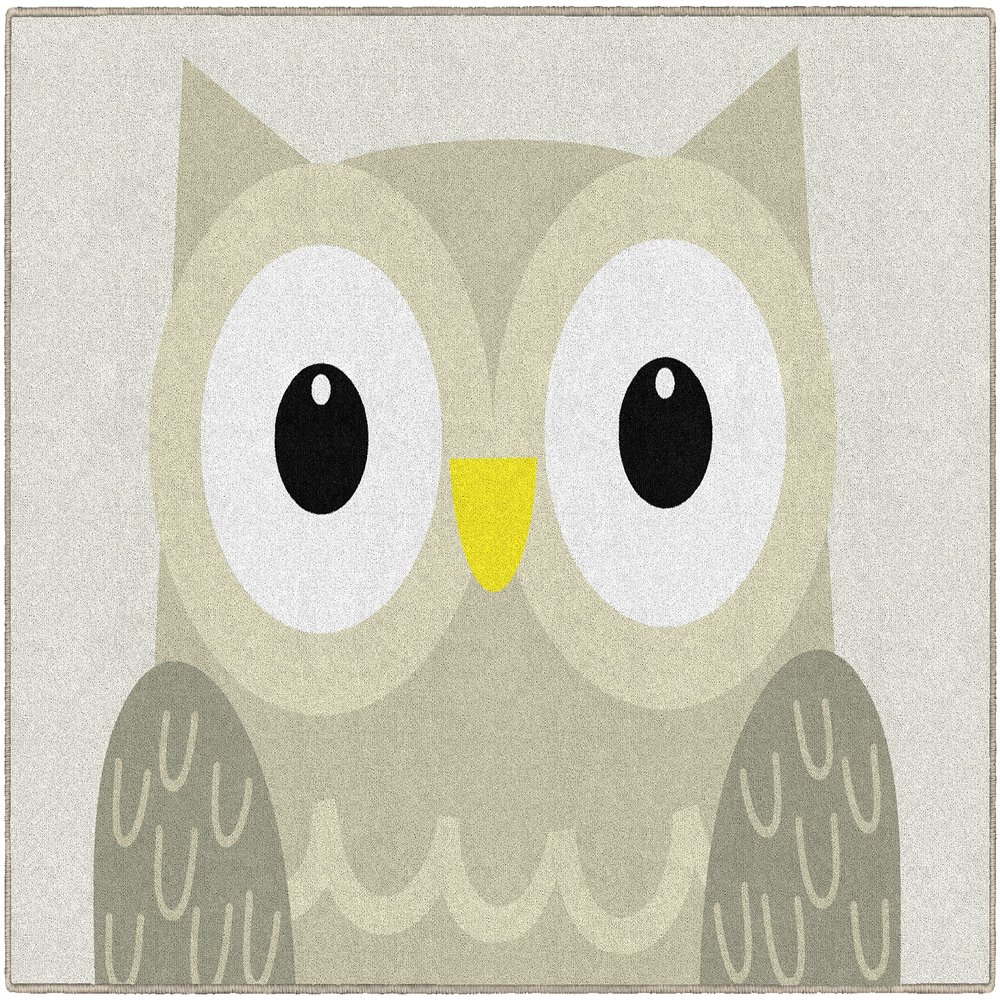 Flagship Carpets Woodland Owl Classroom Area Rug for Indoor Classroom Learning or Kid Bedroom Educational Play Mat, 5'x7'6"