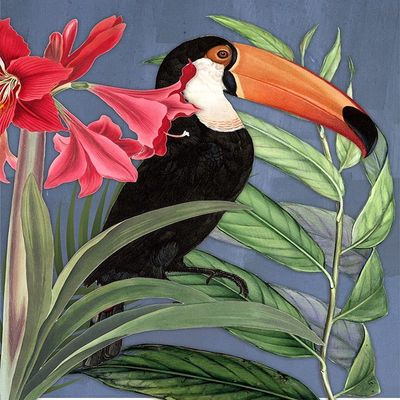 ArtExpert Toucan Jungle I by Karen Smith - 22x28 Art Print Poster