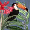 ArtExpert Toucan Jungle I by Karen Smith - 22x28 Art Print Poster view 1