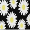Flagship Carpets Daisies Classroom Area Rug for Indoor Classroom Learning or Kid Bedroom Educational Play Mat, 5'x7'6" view 1