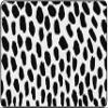 Flagship Carpets Black on White Safari Dot Classroom Area Rug for Indoor Classroom Learning or Kid Bedroom Educational Play Mat, 5'x7'6" view 1