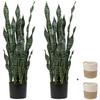 2 Set Large Fake Snake Plant Black Coral 35.8 Inch Sansevieria Plant Artificial Snake Plants in Pots with Woven Basket Faux Mother In Law Tongue Plant - 30 Leaves for Indoor Outdoor Home Office Decor view 1