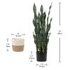 2 Set Large Fake Snake Plant Black Coral 35.8 Inch Sansevieria Plant Artificial Snake Plants in Pots with Woven Basket Faux Mother In Law Tongue Plant - 30 Leaves for Indoor Outdoor Home Office Decor view 2