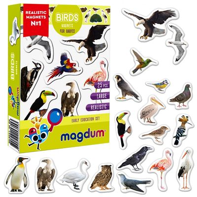 25 Fridge Magnets for Toddlers - Birds Photo Kids Magnets for Refrigerator  Real Magnetic Animals for Children  Big Realistic Magnet for Kids - Learning Toy Set - Baby Educational Gift