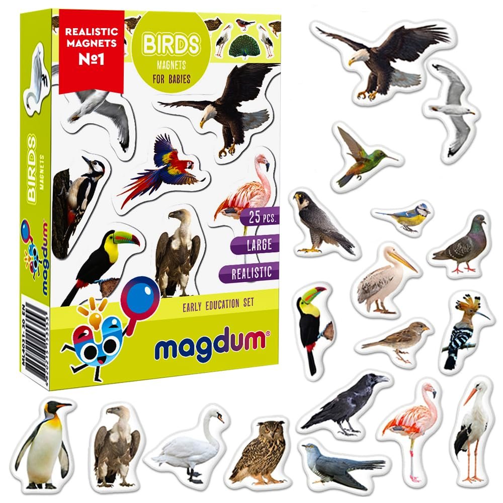 25 Fridge Magnets for Toddlers - Birds Photo Kids Magnets for Refrigerator  Real Magnetic Animals for Children  Big Realistic Magnet for Kids - Learning Toy Set - Baby Educational Gift