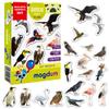 25 Fridge Magnets for Toddlers - Birds Photo Kids Magnets for Refrigerator  Real Magnetic Animals for Children  Big Realistic Magnet for Kids - Learning Toy Set - Baby Educational Gift view 1