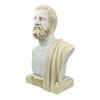 Hippocrates Father of Medicine Physician Portrait Bust Head Sculpture (Patina / Aged) view 2