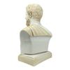 Hippocrates Father of Medicine Physician Portrait Bust Head Sculpture (Patina / Aged) view 4
