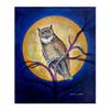 Betsy Drake Owl in Moon Throw view 1
