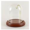 Galapagoz Glass Display Dome with 4 inch Walnut Wood Base Pocket Watch Collectible 3 x 4 inch New USA view 1