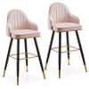 Barstools Set of 2 Velvet Bar Stool Tall Kitchen Stools with Backrest for Breakfast Bar, Counter, Kitchen and Home view 1