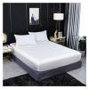 DSMYYXGS Natural Mulberry Silk Fitted Sheet Luxury Solid Color Real Silk Mattress Cover Double Queen Size Elastic Band Bed Sheet (Color : White, Size : Pillowcases40x60cmx2) view 1