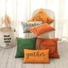 TRENDIN Welcome Fall Pillow Cover 18x18 Inches, Farmhouse Orange Sayings Throw Pillowcase for Autumn Decoration, Decorative Square Cushion Case for Sofa Couch Office PL686TR view 3