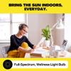 Norb Everyday Sun Light Bulb - Full Spectrum Wellness Lighting, Sunlight-Mimicking Technology for Energy, Mood & Performance. Supports Sleep/Wake Cycles, 5000K, 9W, US Based, Budget-Priced (2-Pack) view 2