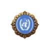 3D United Nations Flag Glass Crystal Brooch Metal Souvenir Men Women Clothes Decoration Valentine's Day Birthday Gift view 1