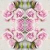 Keep Unique 20-ct 13x13 Flowers Paper Luncheon Decoupage Napkins, 3-Ply Servilletas Floral Napkins for Art, Dinner Tea Party, Disposable Napkins Decor (Roses) view 2